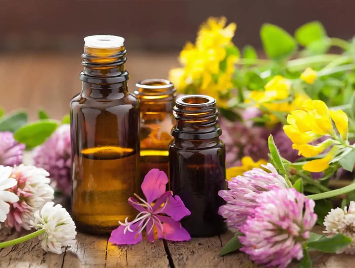 Bach Flower Remedies
